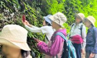 2023/05/24(水)【レポート】Salomon × and wander　HIKING CLUBのガイドをいたしました