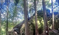 2025/05/27(火)【平日】ロックガーデン七代ノ滝と奥多摩人気の低山へ（東京奥多摩/日の出山902m）