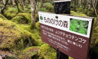 2025/09/06(土)-07(日)【企画】コケの森散策＋北八ヶ岳登山（長野/白駒池・高見石・茶臼山・縞枯山）