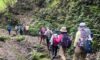 2026/03/18(水)【平日】これから始める山歩き・鎌倉アルプスハイキング（神奈川県/鎌倉）