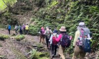 2026/03/18(水)【平日】これから始める山歩き・鎌倉アルプスハイキング（神奈川県/鎌倉）