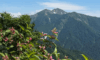 2026/08/25(火)【女性対象】日帰り日本百名山(群馬県・谷川岳1,977m)